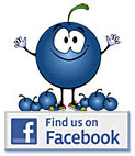 Blueberry Heaven Facebook
